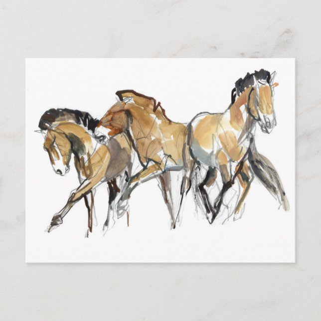 Cartão Postal Mistral Três (Frente)