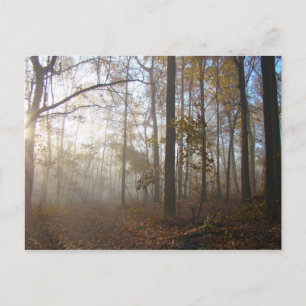 Cartão Postal Misty Autumn Morning na Floresta #2