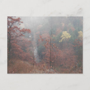Cartão Postal Misty Autumn Woods
