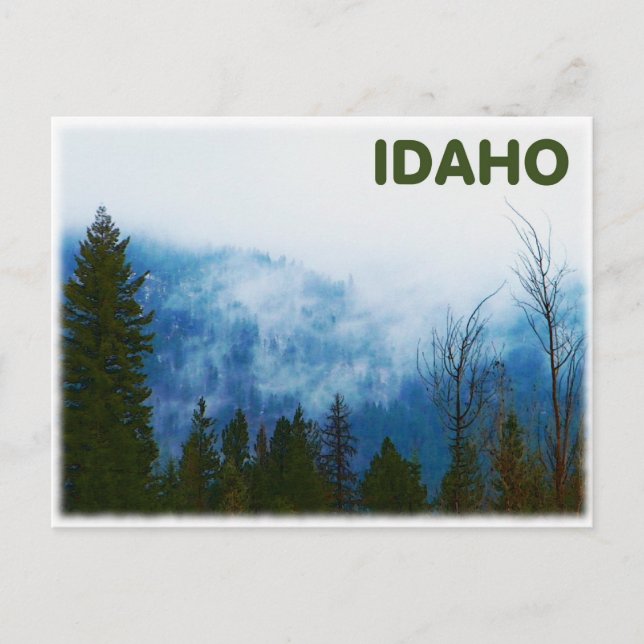 Cartão Postal Misty Cinza (Frente)