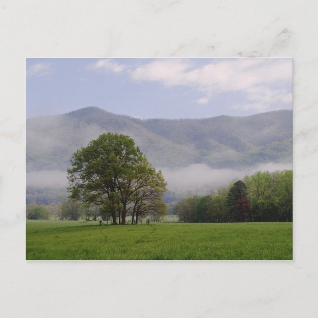 Cartão Postal Misty Meadow e Rich Mountain, Cades Cove, (Frente)