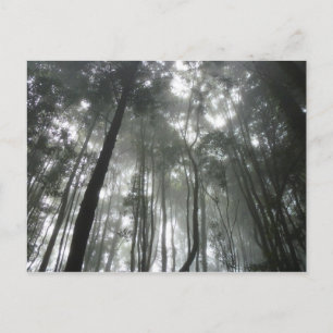 Cartão postal Misty Mountain