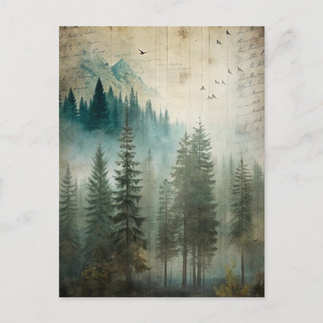 Cartão Postal Misty Pine Forest Nature Adventure (Frente)