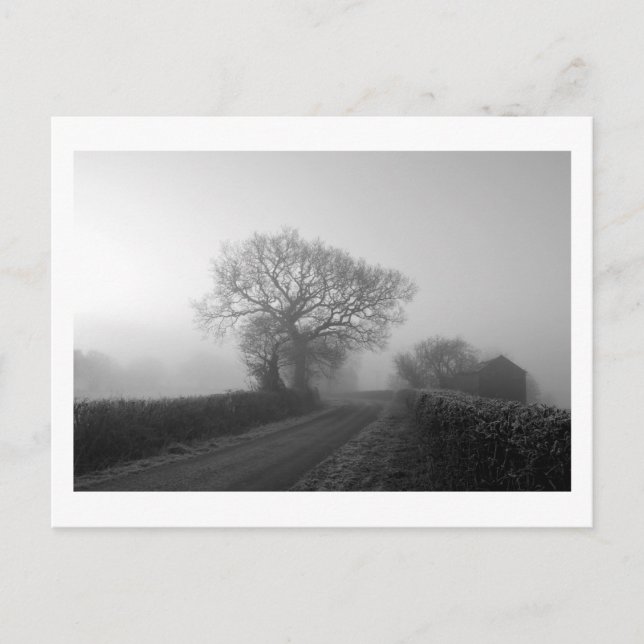 Cartão Postal Misty Winter Morning: Cheshire, Inglaterra (Frente)