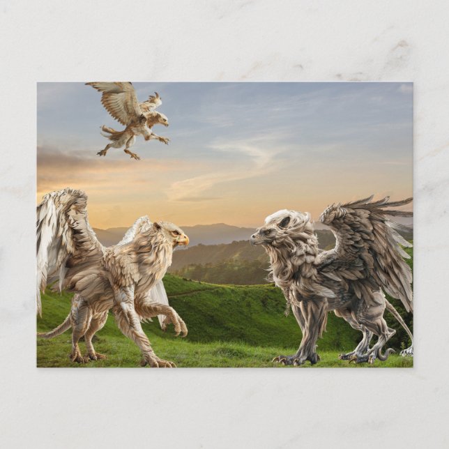 Cartão Postal Mitologia do Grifo Griffin  (Frente)