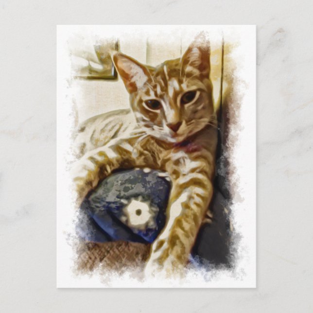 Cartão Postal Miyu Cat Art (Frente)