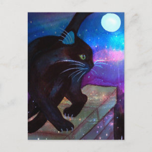 Cartão Postal Moa Cheia de Gato Negro