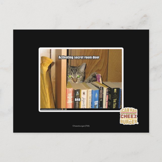 Cartão Postal Modelo (Frente)