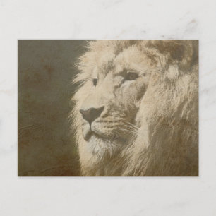 Cartão Postal Modelo de Arte Pop Moderno de Cabeça de Leão Anima