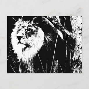 Cartão Postal Modelo de Arte Pop Moderno Preto Branco Animal Leã