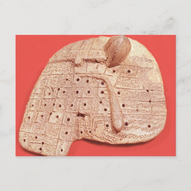 Cartão Postal Modelo de fígado de ovelha (Frente)