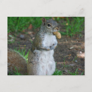 Cartão postal Modelo horizontal - Personalizado