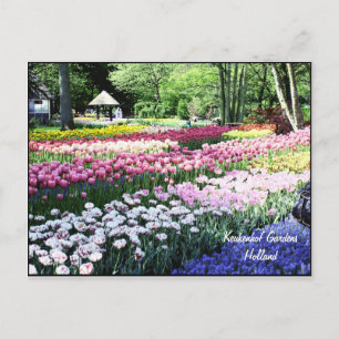 Cartão postal Modelo, jardins florais