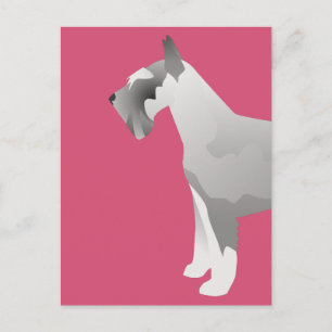 Cartão Postal Modelos Schnauzer prontos para personalizar