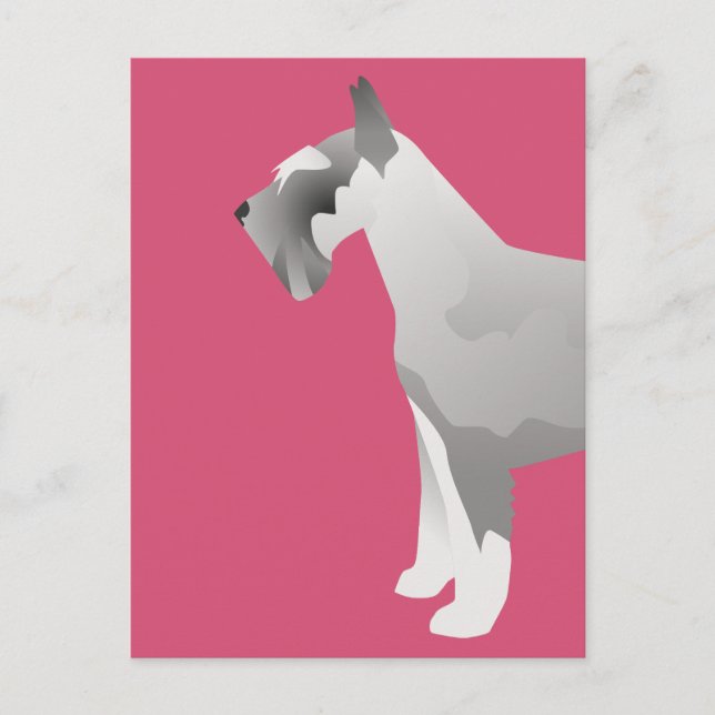 Cartão Postal Modelos Schnauzer prontos para personalizar (Frente)