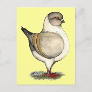 Cartão Postal Modena Silver Gazzi