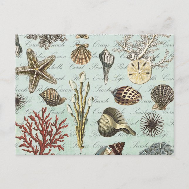 Cartão Postal Modern Vintage Seashells (Frente)