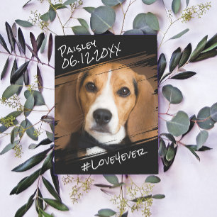 Cartão Postal Moderno Chique Elegante Simples Memorial de Cachor