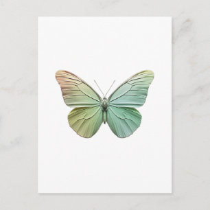 Cartão Postal Moderno Design de Borboleta Minimalista Elegante
