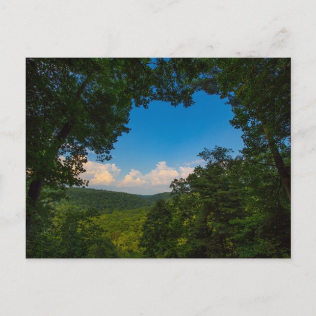 Cartão Postal Mohican Gorge, Mohican State Park, Ohio (Frente)