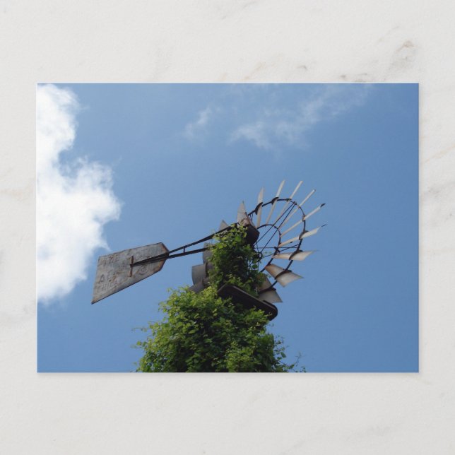 Cartão Postal Moinho (Frente)