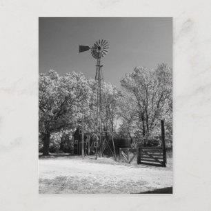 Cartão Postal Moinho