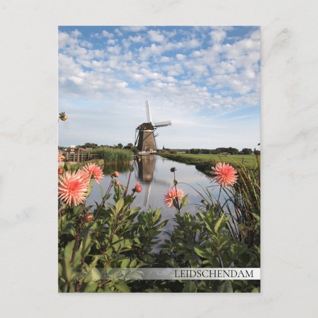 Cartão Postal Moinho de vento e flores de Leidschendam (Frente)