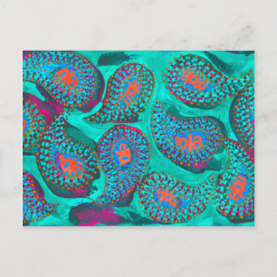 Cartão Postal Mola de Paisley, mola paisley
