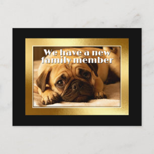 Cartão Postal Moldura Dourada - Forma Retangular 6 pug cachorro