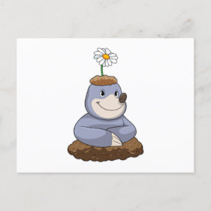 Cartão Postal Mole com Daisy Flower