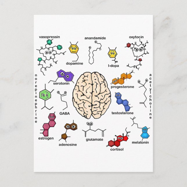 Cartão Postal Moléculas Galore! (Frente)