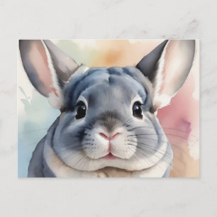 Cartão Postal Molho Chinchilla Portrait