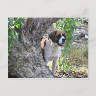 Cartão Postal Molly "Alguém diga TOQUE"