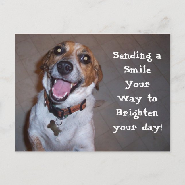 Cartão Postal Molly Smile! (Frente)