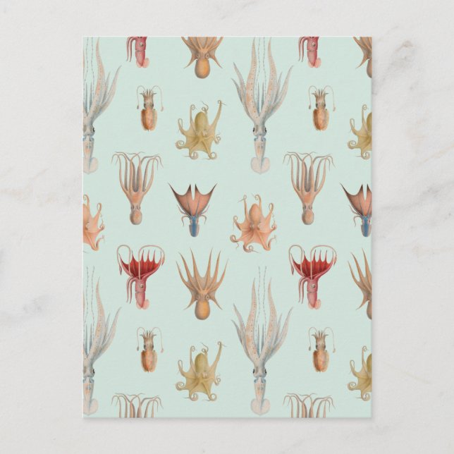 Cartão Postal Moluscos Vintage (Azul) (Frente)