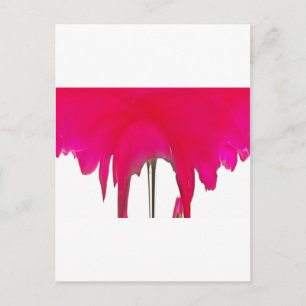 Cartão Postal Momento Capturado: Uma Elegância Petal Rosa vermel