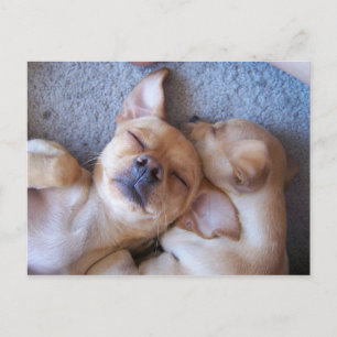 CARTÃO POSTAL MOMENTO NO TEMPO