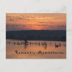 Cartão Postal Momentos românticos Aves na foto do nascer do sol