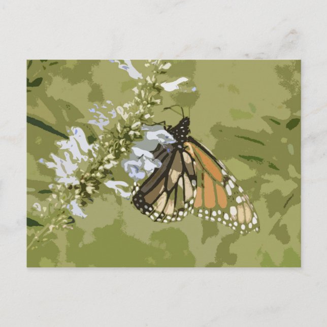 Cartão Postal Monarch e Salvia (Frente)