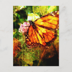 Cartão Postal Monarch Grunge