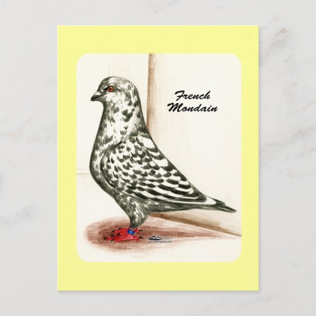 Cartão Postal Mondain Francês 1973 (Frente)