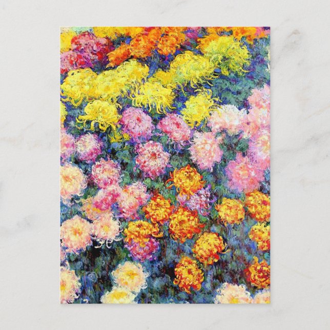 Cartão Postal Monet, Cama de Chrysanthemums, (Frente)