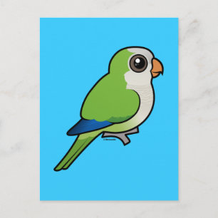 Cartão Postal Monk Parakeet