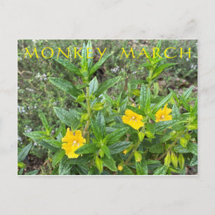 Cartão Postal Monkey March