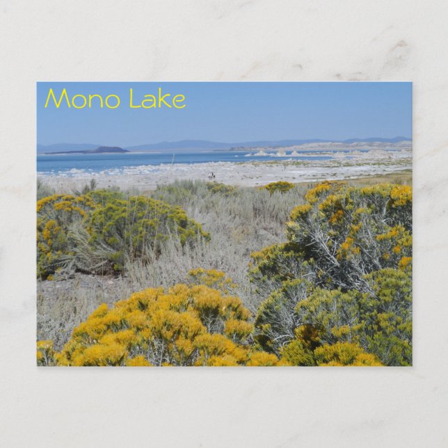 Cartão Postal Mono Lake, CA (Frente)