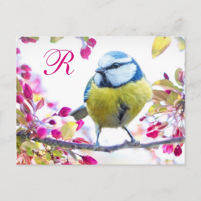 Cartão Postal Monograma de aves Springtime (Frente)