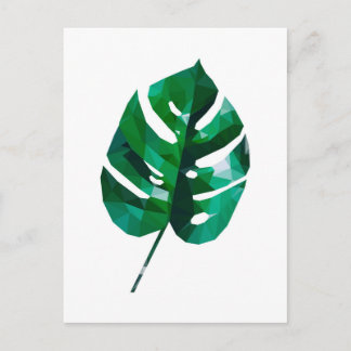 Cartão postal Monstera Leaf