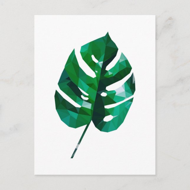 Cartão postal Monstera Leaf (Frente)