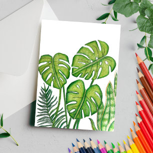 Cartão Postal Monstera Verde Deixa Lápis Colorido De Desenho