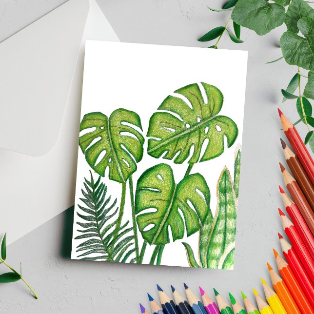 Cartão Postal Monstera Verde Deixa Lápis Colorido De Desenho (Criador carregado)